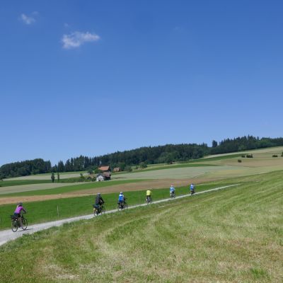 037 Naturstrasse in einer schönen Landschaft